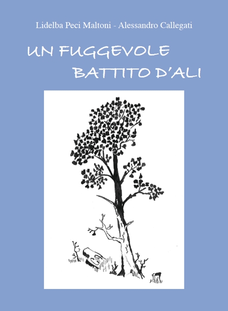 Fumettoteca Alessandro Callegati "Calle" - Copertina Libro 2006.jpg
